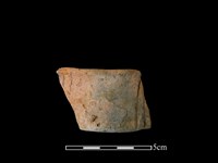 藏品(連杯形器)的圖片