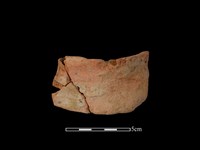 藏品(陶罐)的圖片