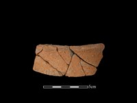 藏品(陶罐)的圖片