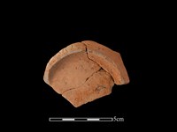 藏品(陶片)的圖片