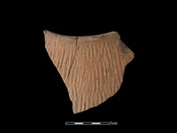 藏品(帶紋飾陶片)的圖片