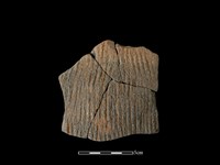 藏品(帶紋飾陶片)的圖片