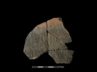 藏品(帶紋飾陶片)的圖片