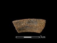 藏品(帶紋飾陶片)的圖片