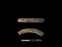 藏品(陶環)的圖片