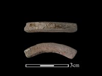 藏品(陶環)的圖片