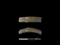 藏品(陶環)的圖片