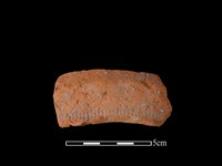 藏品(陶罐)的圖片