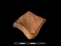 藏品(連杯形器)的圖片