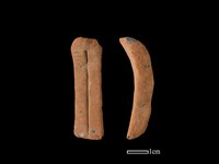 藏品(陶罐)的圖片