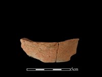 藏品(陶罐)的圖片