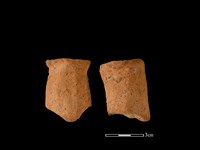 藏品(鼎足)的圖片