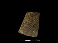 藏品(陶片)的圖片