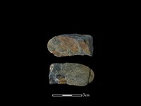 藏品(網墜)的圖片