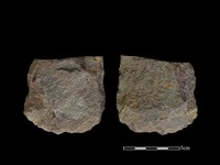 藏品(斧鋤形器)的圖片