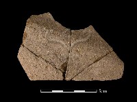 藏品(陶片)的圖片