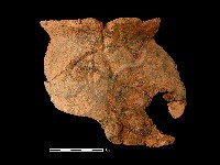 藏品(陶罐)的圖片