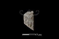 藏品(錛鑿形器)的圖片