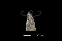 藏品(錛鑿形器)的圖片