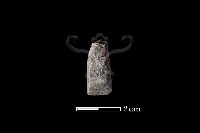 藏品(錛鑿形器)的圖片