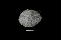 藏品(石片器)的圖片