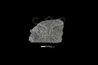 藏品(石片器)的圖片