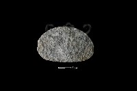 藏品(石片器)的圖片