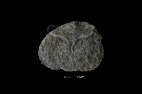 藏品(石片器)的圖片