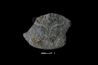 藏品(石片器)的圖片