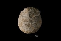 藏品(石鎚)的圖片