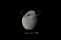 藏品(石鎚)的圖片