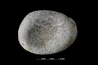 藏品(凹石)的圖片