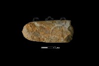 藏品(砥石)的圖片