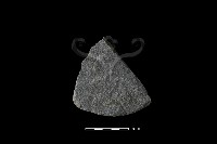 藏品(石片器)的圖片