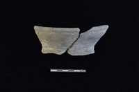 藏品(陶罐)的圖片