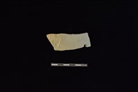 藏品(陶片)的圖片