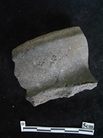 藏品(陶片)的圖片