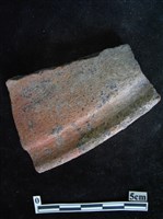 藏品(陶片)的圖片