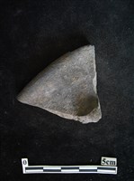 藏品(陶片)的圖片