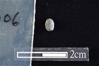 藏品(陶珠)的圖片