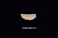 藏品(陶片)的圖片