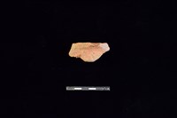 藏品(陶片)的圖片