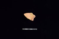 藏品(連杯形器)的圖片