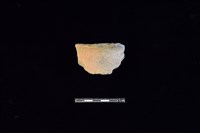 藏品(陶片)的圖片