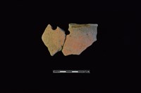 藏品(陶片)的圖片