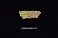 藏品(陶罐)的圖片