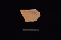 藏品(陶片)的圖片