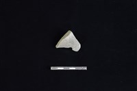 藏品(陶片)的圖片