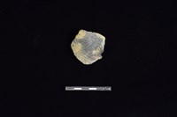 藏品(陶片)的圖片