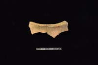 藏品(陶片)的圖片